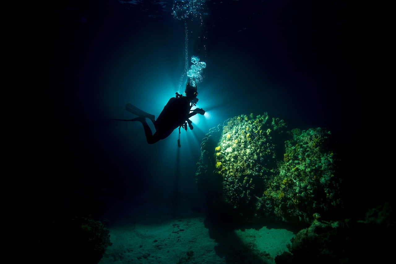 Buceo Nocturno