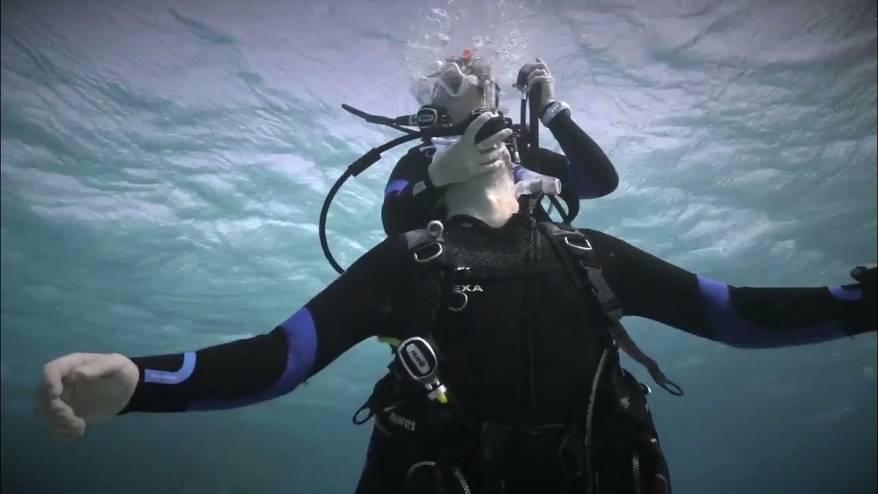 Curso de Buceador de Rescate y Salvamento (FAAS / CMAS)