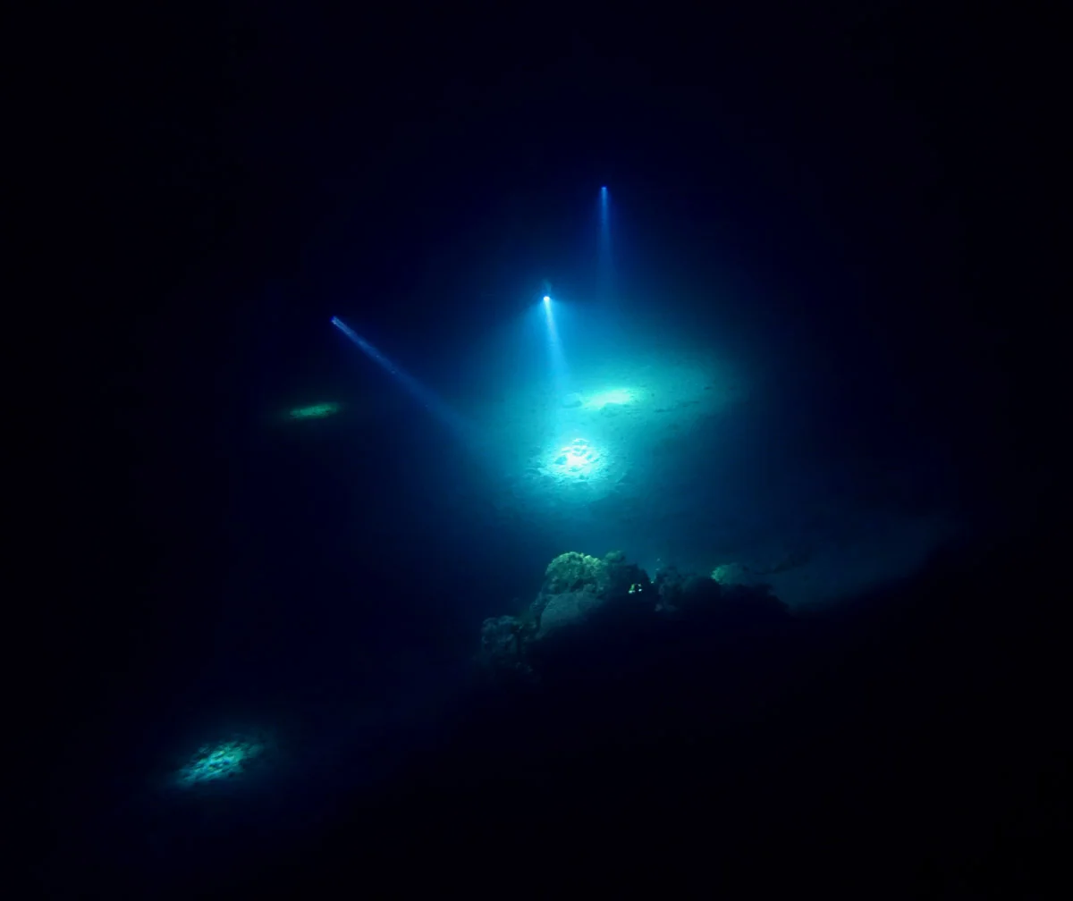 Esta imagen tiene un atributo alt vacío; el nombre del archivo es Buceo-Nocturno-por-Gustavo-Gerdel.jpg